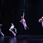 Bungee Fly Intermedio