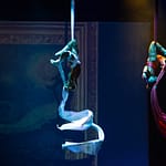 Tessuti Adulti Avanzato